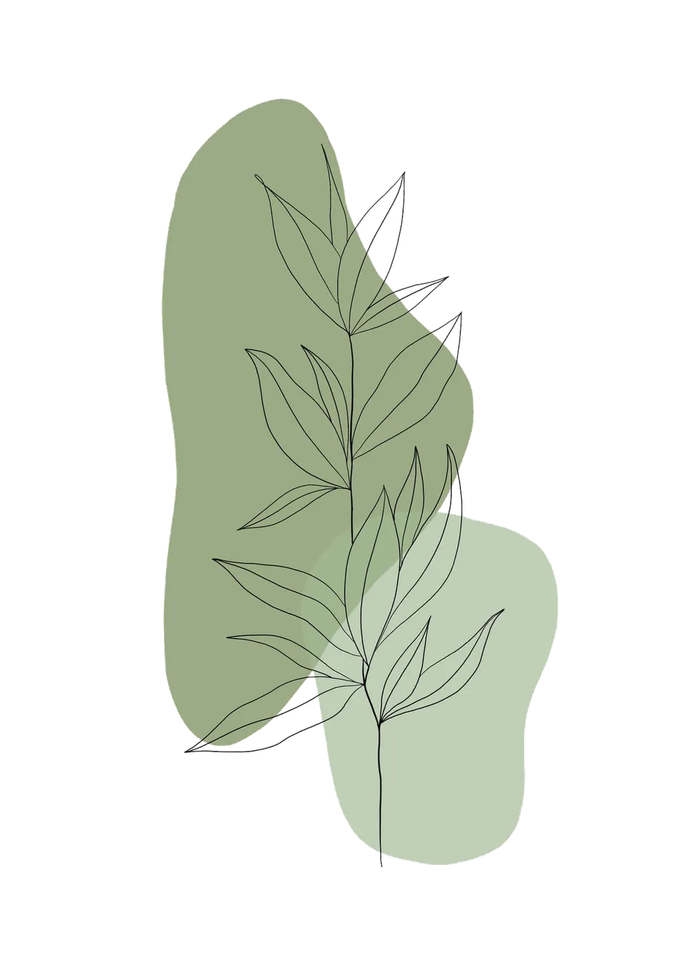 Picture of artistic sage leaves.